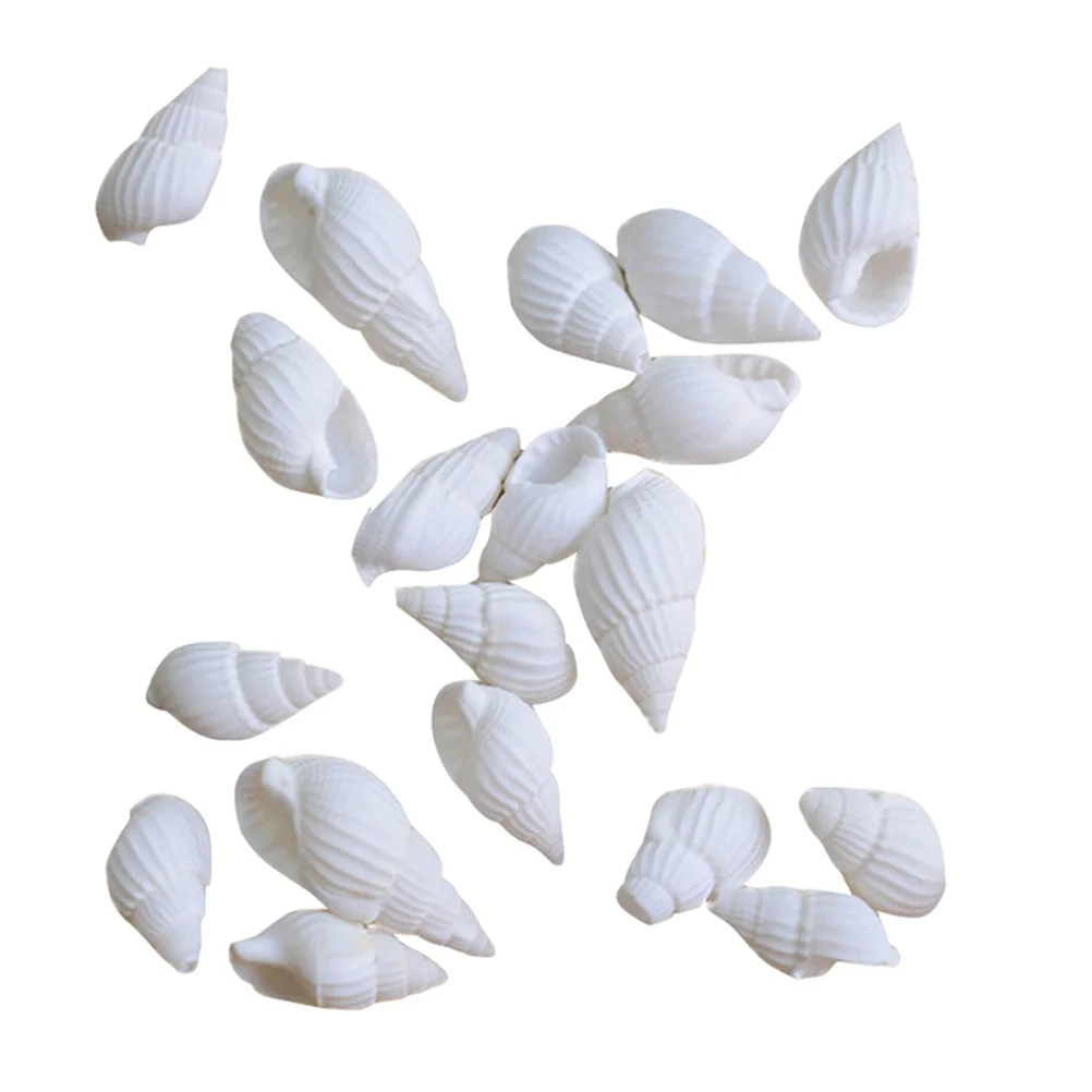 Shells Sea Shell Conch Crafts Conches Seashells Decor Tiny Decorating Wedding Mini Small Decorations Oyster Cowrie Home Craft
Shells Sea Shell Conch Crafts Conches Seashells Decor Tiny Decorating Wedding Mini Small Decorations Oyster Cowrie Home Craft