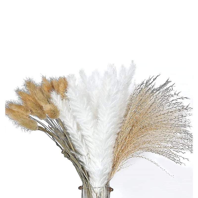 Hot Sale 65 Pcs Pampas Grass Plant Natural Dried Pampas Grass For Flower Arrangements Home Decor
Hot Sale 65 Pcs Pampas Grass Plant Natural Dried Pampas Grass For Flower Arrangements Home Decor