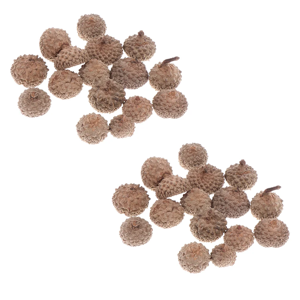 80 Pcs Fall Decor Acorn Bead Caps Real Acorn Caps DIY Holiday Wreaths Small Acorn Hat
80 Pcs Fall Decor Acorn Bead Caps Real Acorn Caps DIY Holiday Wreaths Small Acorn Hat