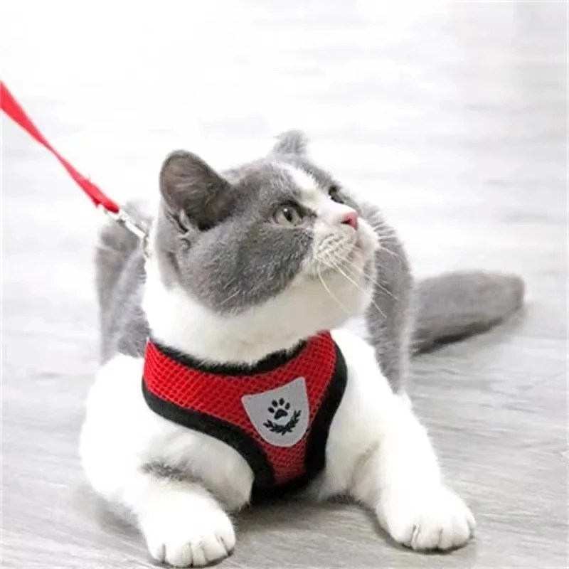 Cat Dog Harness Adjustable Vest Walking Lead Leash For Puppy Dogs Collar Polyester Mesh Harness For Small Medium Dog Cat Pet
Cat Dog Harness Adjustable Vest Walking Lead Leash For Puppy Dogs Collar Polyester Mesh Harness For Small Medium Dog Cat Pet