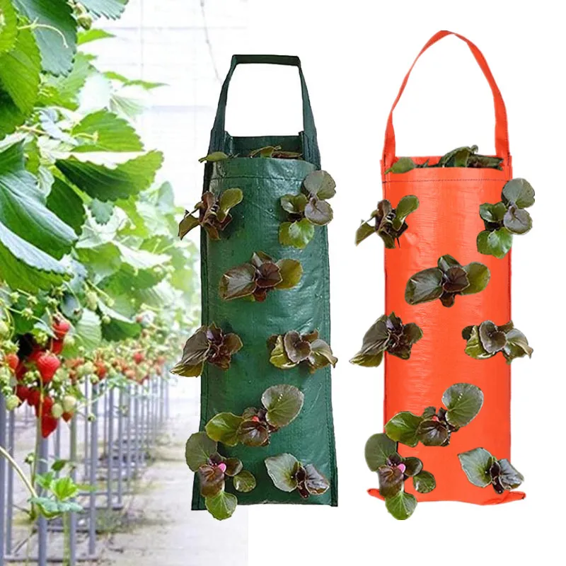 Multi Pockets Strawberry Grow Bag Thickened Tomato Herb Planting Pot Breathable Garden Balcony Hanging Vegetable Flowers Planter
Multi Pockets Strawberry Grow Bag Thickened Tomato Herb Planting Pot Breathable Garden Balcony Hanging Vegetable Flowers Planter