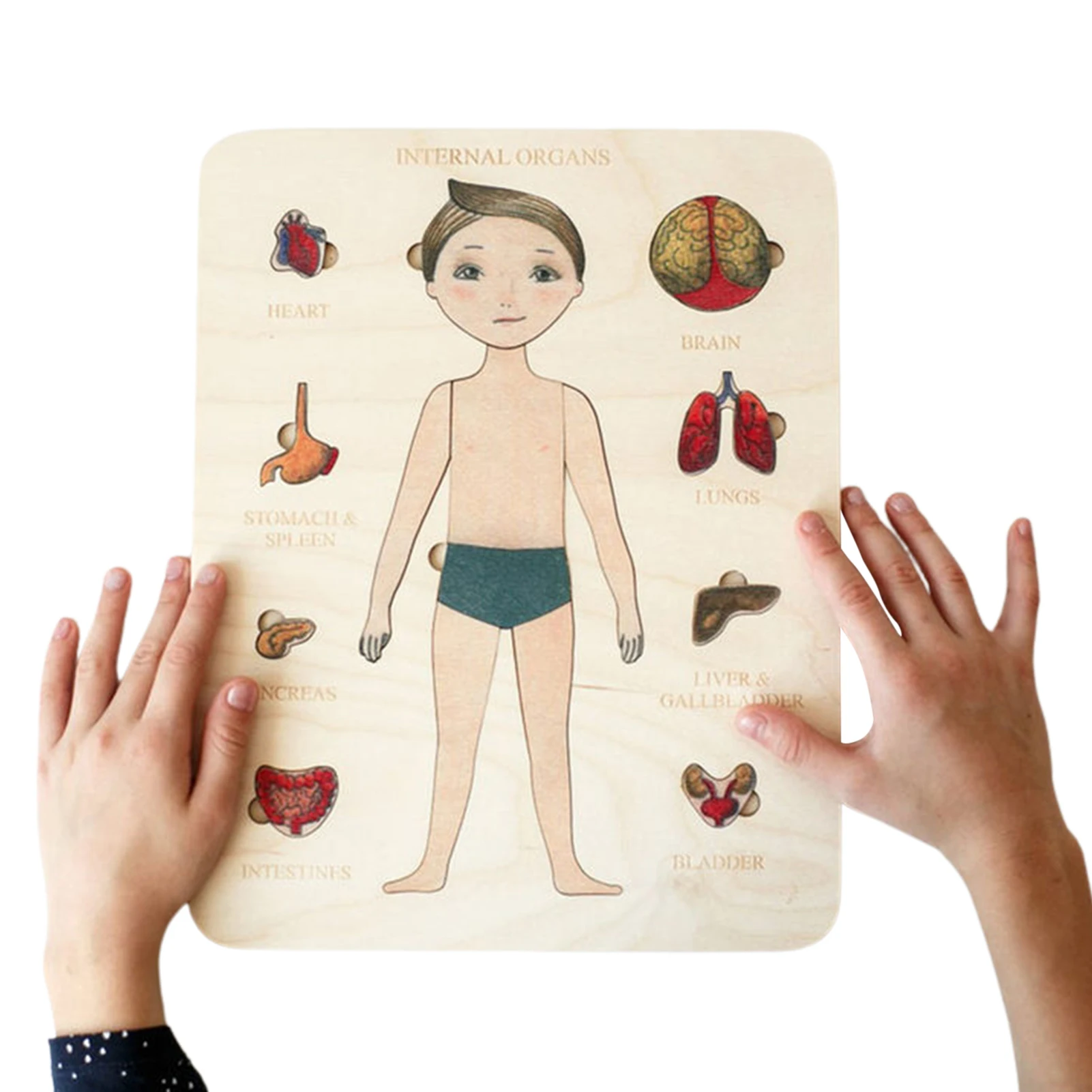 Human Body Puzzle Wooden Wooden Educational Puzzles Body Parts For Toddlers Learning Body Parts Organs Muscles Gift Toys For
Human Body Puzzle Wooden Wooden Educational Puzzles Body Parts For Toddlers Learning Body Parts Organs Muscles Gift Toys For
