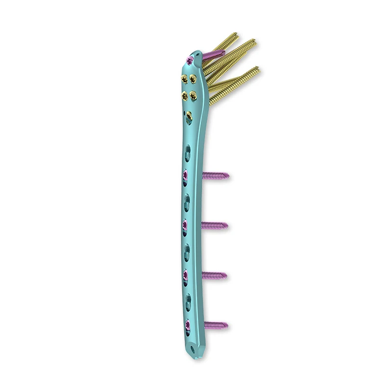 Low MOQ Cheap Proximal Femur Anatomical Titanium Locking Plate Orthopedic Implant
Low MOQ Cheap Proximal Femur Anatomical Titanium Locking Plate Orthopedic Implant