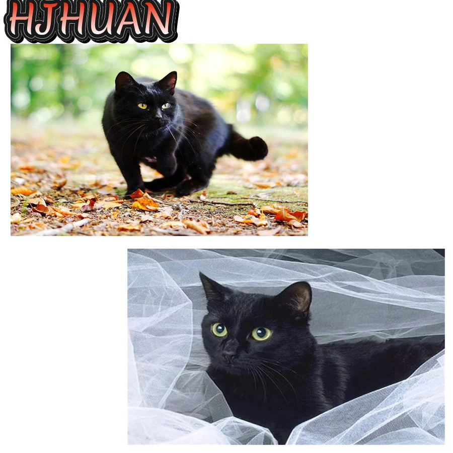 5D Diy алмазная живопись кот животное полная квадратная/круглая Алмазная вышивка крестик набор мозаики для имитации вышивки HD качественные и...
5D Diy алмазная живопись кот животное полная квадратная/круглая Алмазная вышивка крестик набор мозаики для имитации вышивки HD качественные и...