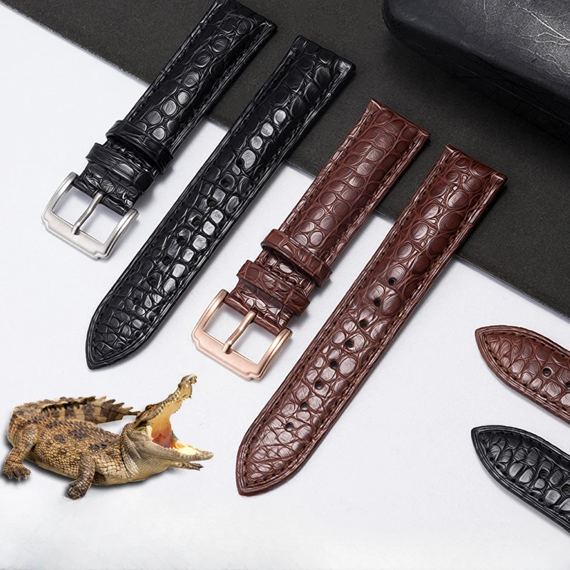 Waterproof Crocodile Skin Watchband Men for Tissot Montblanc Tudor Breitling Round Pattern Genuine Leather 21 20mm Watch Strap
Waterproof Crocodile Skin Watchband Men for Tissot Montblanc Tudor Breitling Round Pattern Genuine Leather 21 20mm Watch Strap
