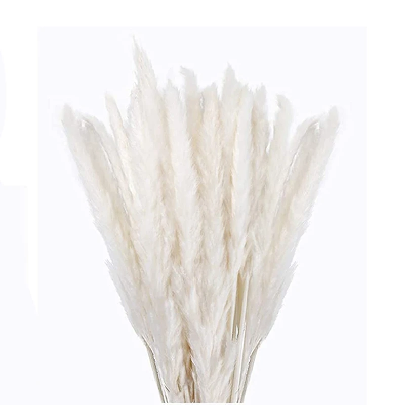 Promotion! 30 Pcs White Pampas Grass,17Inch Natural Dried Pampas Grass Branches Decor For Home Kitchen Garden Party Photographin
Promotion! 30 Pcs White Pampas Grass,17Inch Natural Dried Pampas Grass Branches Decor For Home Kitchen Garden Party Photographin