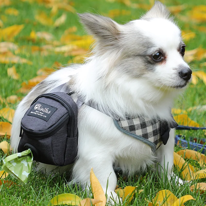 Dog Poop Bag Dispenser Holder for Leash Lightweight Outdoor Dogs Mini Backpack Waste Bags Pet Treat Training Pouch for Walking
Dog Poop Bag Dispenser Holder for Leash Lightweight Outdoor Dogs Mini Backpack Waste Bags Pet Treat Training Pouch for Walking
