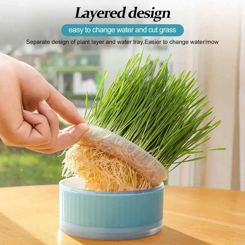 Pet Catgrass Hydroponic Set Grass Planting Box S Elf Watering Cat Grass Kit Elf Watering Cat Grass Kit Cat Grass Planter
Pet Catgrass Hydroponic Set Grass Planting Box S Elf Watering Cat Grass Kit Elf Watering Cat Grass Kit Cat Grass Planter