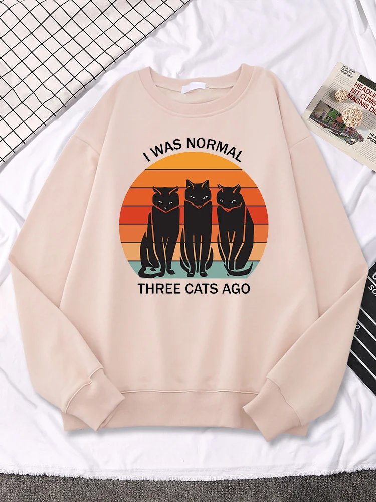 I Was Normal Three Cats Ago Retro Sunset Print Men Hoodie Creativity Vintage O-Neck Tops Autumn Loose Fleece Pullover Man Hooded
I Was Normal Three Cats Ago Retro Sunset Print Men Hoodie Creativity Vintage O-Neck Tops Autumn Loose Fleece Pullover Man Hooded