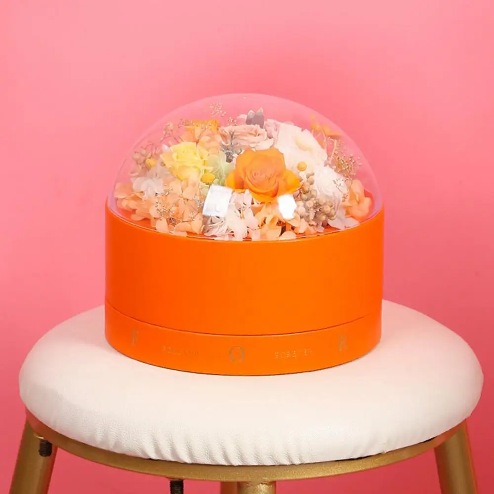 Round Gift Box Double Transparent Cake Chocolate Rose Holder Container Decor
Round Gift Box Double Transparent Cake Chocolate Rose Holder Container Decor