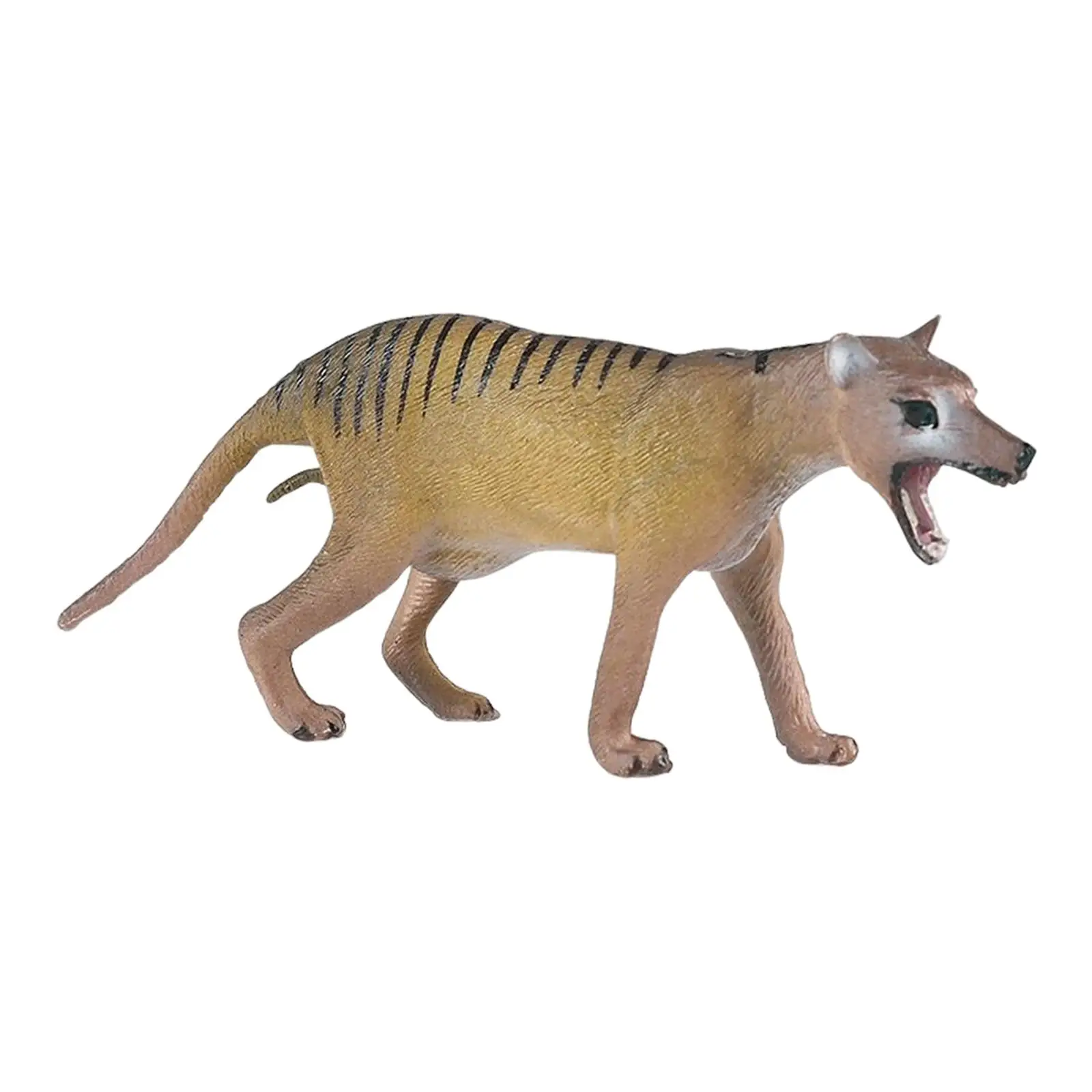 Мини фигурки Thylacine, модель, обучающая игрушка, топпер для торта, подарок на день рождения, для дома
Мини фигурки Thylacine, модель, обучающая игрушка, топпер для торта, подарок на день рождения, для дома