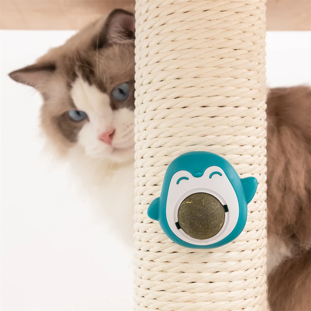 Bite Resistant Mint Ball Self Hi Interactive Cat Toy Grinding Teeth Creative Pet Cat Mint Pet Supplies Cat Toy
Bite Resistant Mint Ball Self Hi Interactive Cat Toy Grinding Teeth Creative Pet Cat Mint Pet Supplies Cat Toy
