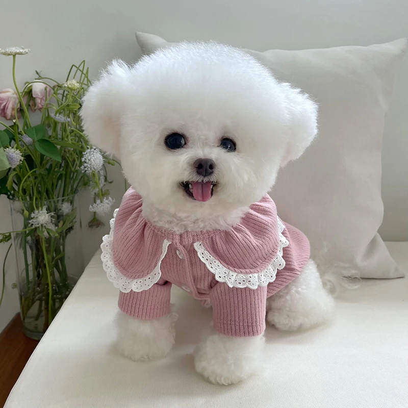 Cat Shirt Doggy Puppy Small Dog Clothes Winter Pet Costume Apparel Yorkie Pomeranian Shih Tzu Maltese Poodle Bichon Clothing xxs
Cat Shirt Doggy Puppy Small Dog Clothes Winter Pet Costume Apparel Yorkie Pomeranian Shih Tzu Maltese Poodle Bichon Clothing xxs