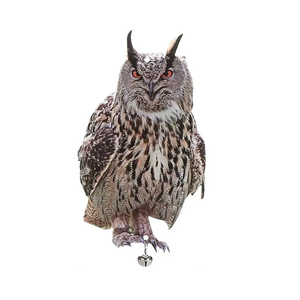 Acrylic Fake Owl Bird Repellent Double-sided Simulation Reflective Dispelling Bird Owls For Garden Orchard Balcony Courtyard
Acrylic Fake Owl Bird Repellent Double-sided Simulation Reflective Dispelling Bird Owls For Garden Orchard Balcony Courtyard