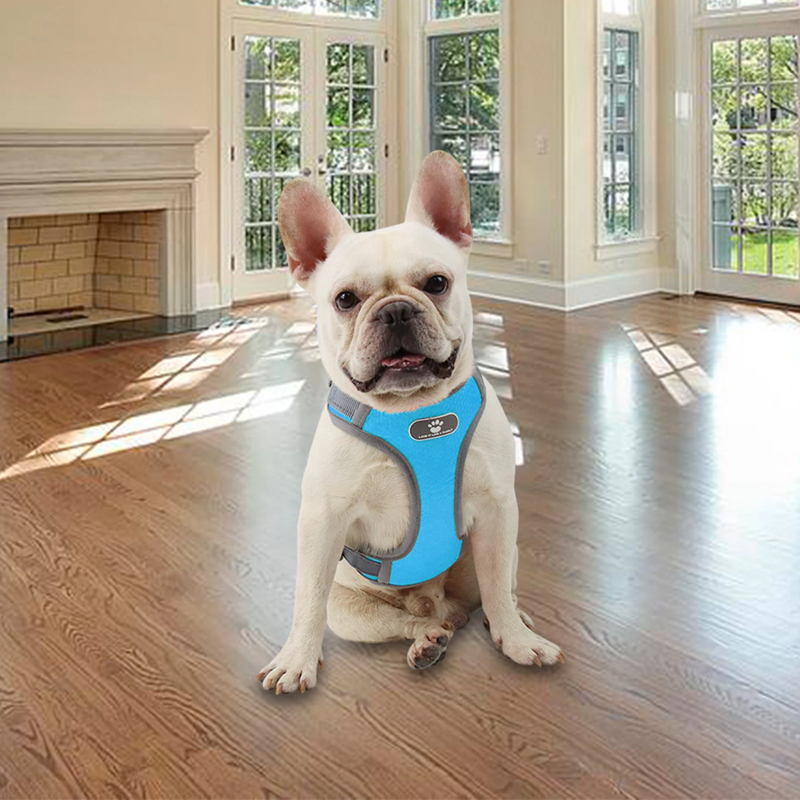 Dog Harness No-pull Reflective No-choke Oxford Pet Harness Adjustable Breathable Soft Dog Vest For Dogs Small Medium Large XL
Dog Harness No-pull Reflective No-choke Oxford Pet Harness Adjustable Breathable Soft Dog Vest For Dogs Small Medium Large XL