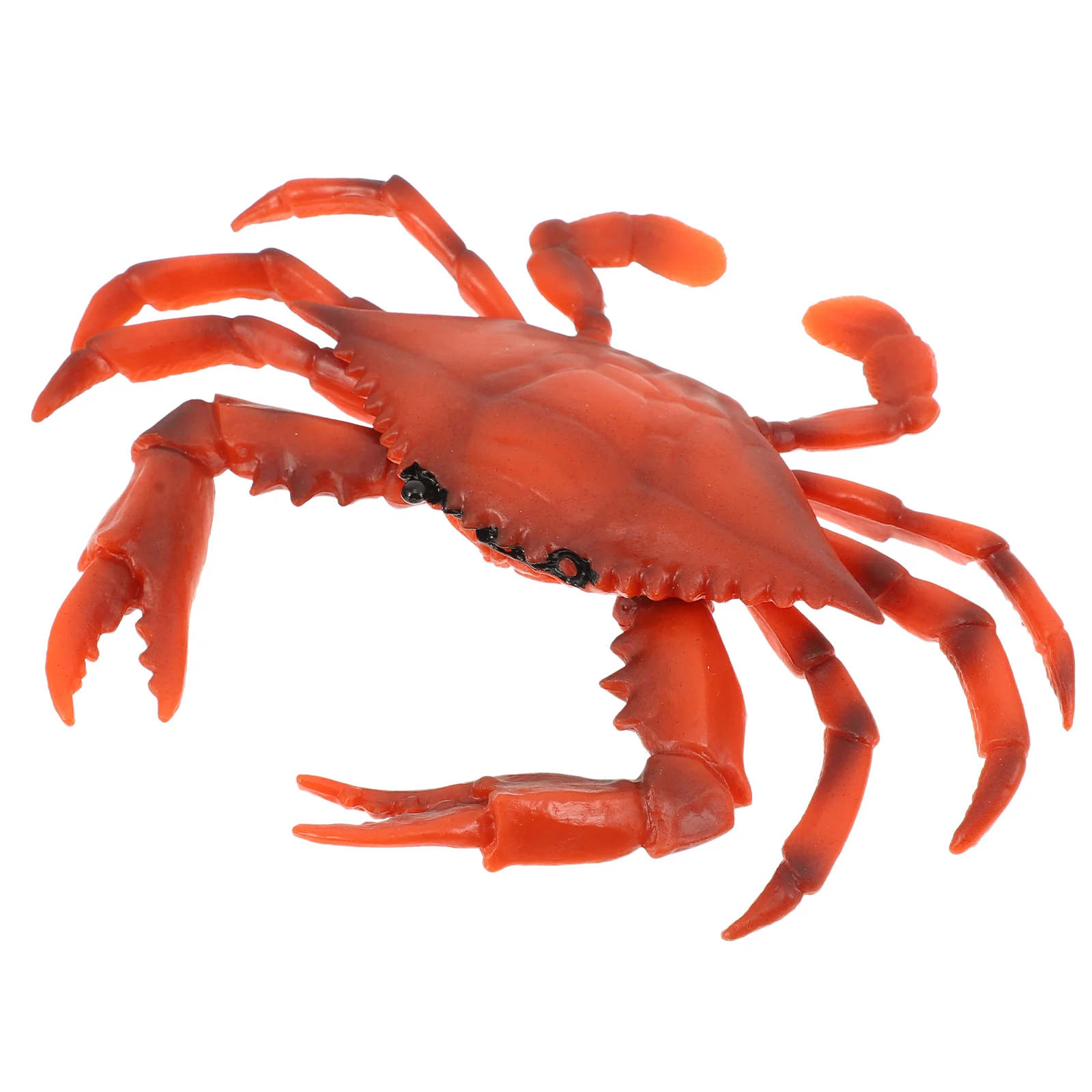 Lobster Model Marine Animal Toys Lobster Ornament Crab Craft Kids Simulation Ornaments Rural Sea Animal Model Toy
Lobster Model Marine Animal Toys Lobster Ornament Crab Craft Kids Simulation Ornaments Rural Sea Animal Model Toy