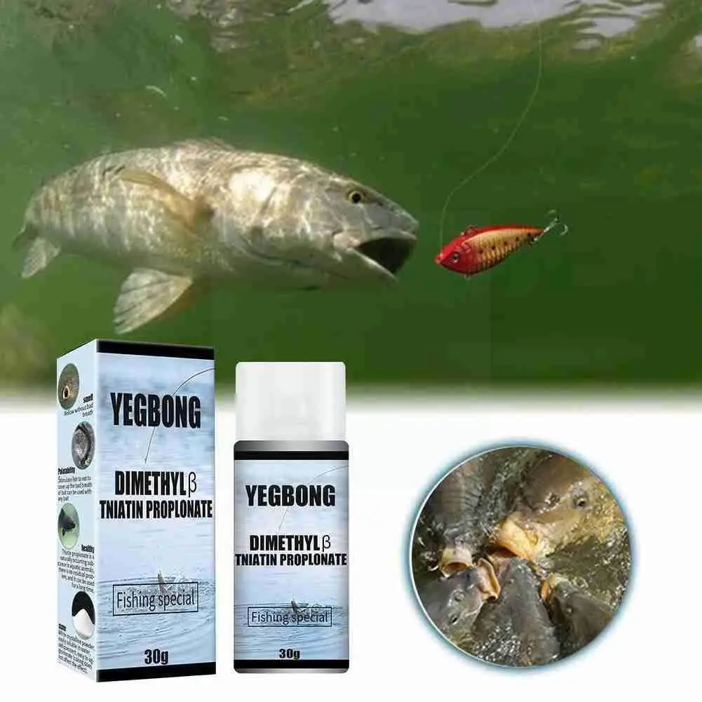 30g Fishing Bait Additive Powder Strong Fish Shrimp Bait Accessory Tackle Lure Attractant Additives Fishing Lure Jig Food S G7s9
30g Fishing Bait Additive Powder Strong Fish Shrimp Bait Accessory Tackle Lure Attractant Additives Fishing Lure Jig Food S G7s9