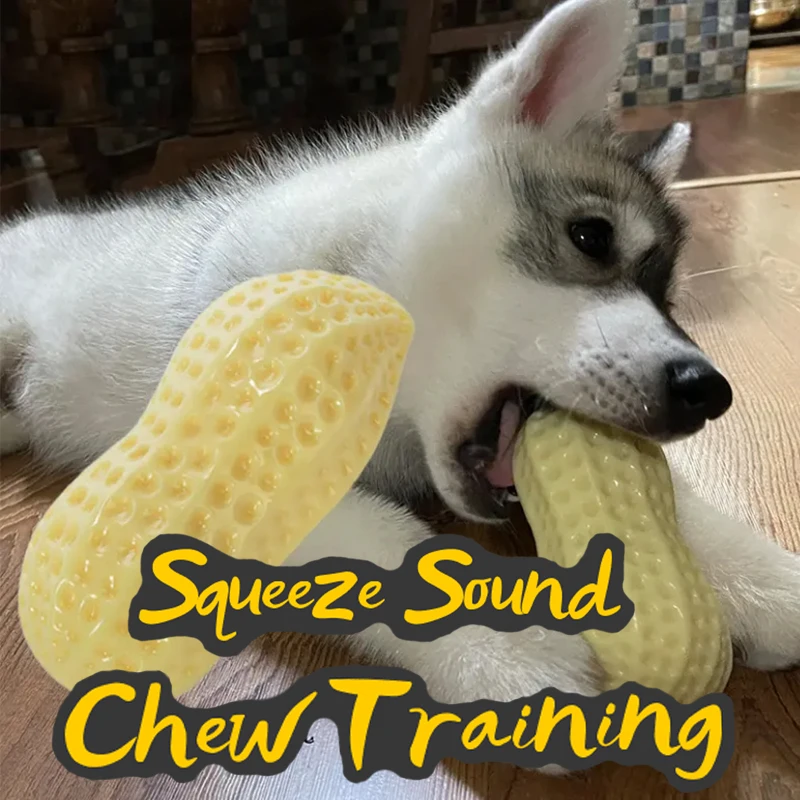Clean tooth Bite Resistant Pet Chewing Pets Dog Toys Pet Training Supplies natural Rubber peanut Funny Pet Dog Squeaky Toys
Clean tooth Bite Resistant Pet Chewing Pets Dog Toys Pet Training Supplies natural Rubber peanut Funny Pet Dog Squeaky Toys