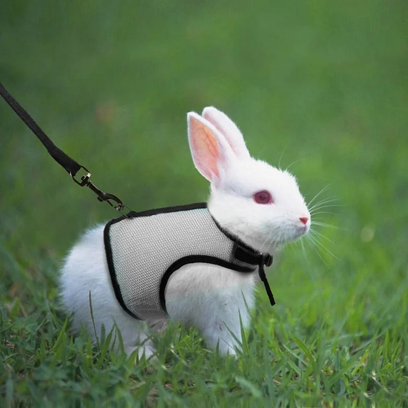 

Pet leash Soft Mesh Harness With Leash Rabbit Harnesses Vest Leashes Set Small Animal Guinea Pig Hamsters Pet Accessories