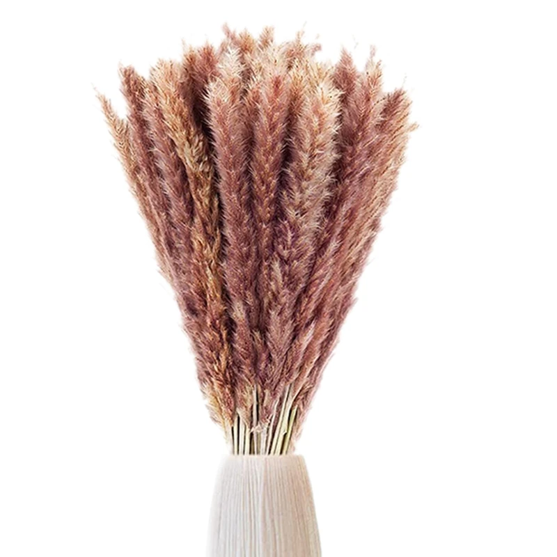 60Pcs Pampas Grass, Fluffy Pampas Grass Decor Manually Selected Dried Pampas Grass & Pompous Grass Branches Natural
60Pcs Pampas Grass, Fluffy Pampas Grass Decor Manually Selected Dried Pampas Grass & Pompous Grass Branches Natural