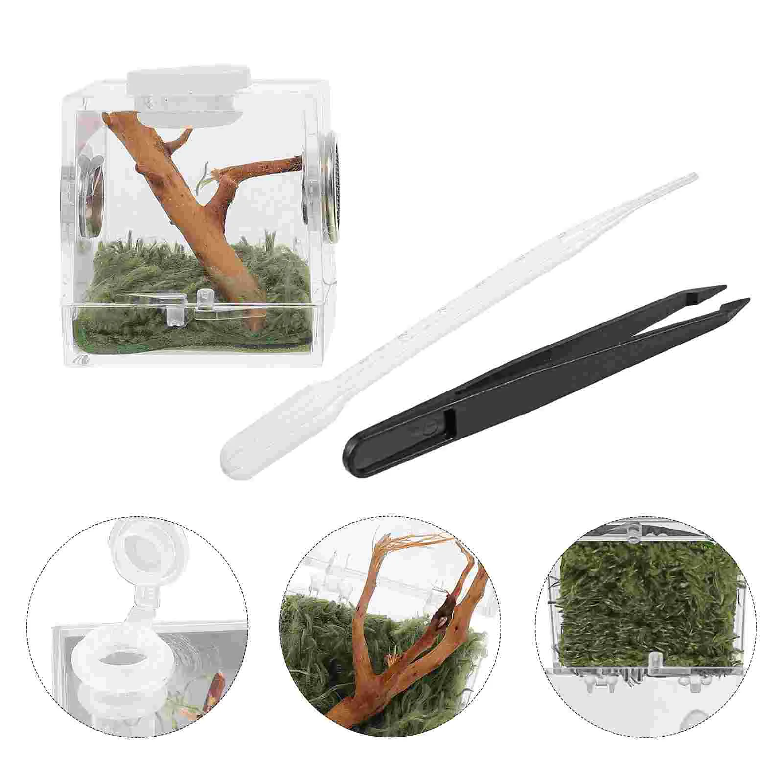 Reptile Box Breeding Spider Terrarium Feeding Habitat Case Container Tank Pet Reptiles Hatching Jumping Display Cage Anti Home 
Reptile Box Breeding Spider Terrarium Feeding Habitat Case Container Tank Pet Reptiles Hatching Jumping Display Cage Anti Home