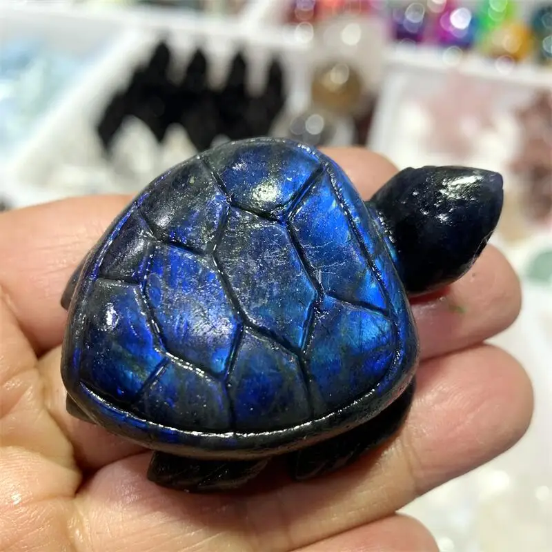 Natural Blue Labradorite Crystal Handmade Carved Sea turtle Polished Animal Powerful Statue For Home Decoration Gift 1PCS
Natural Blue Labradorite Crystal Handmade Carved Sea turtle Polished Animal Powerful Statue For Home Decoration Gift 1PCS