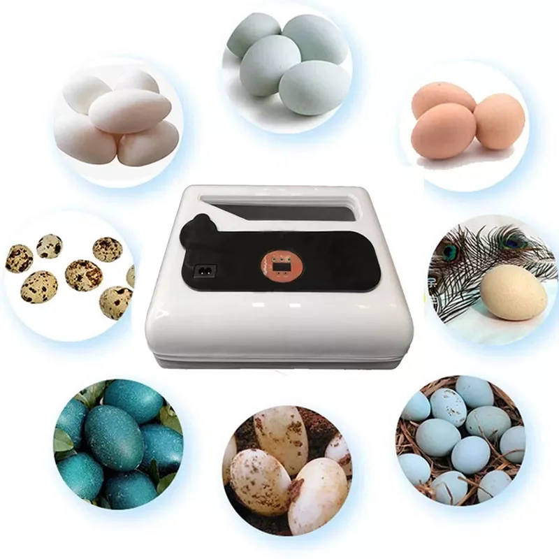 Incubator 12 Eggs Hatchery Incubator Brooder Machine Hatchers Cheap Price Chicken Automatic Eggs Incubator Bird New Design
Incubator 12 Eggs Hatchery Incubator Brooder Machine Hatchers Cheap Price Chicken Automatic Eggs Incubator Bird New Design
