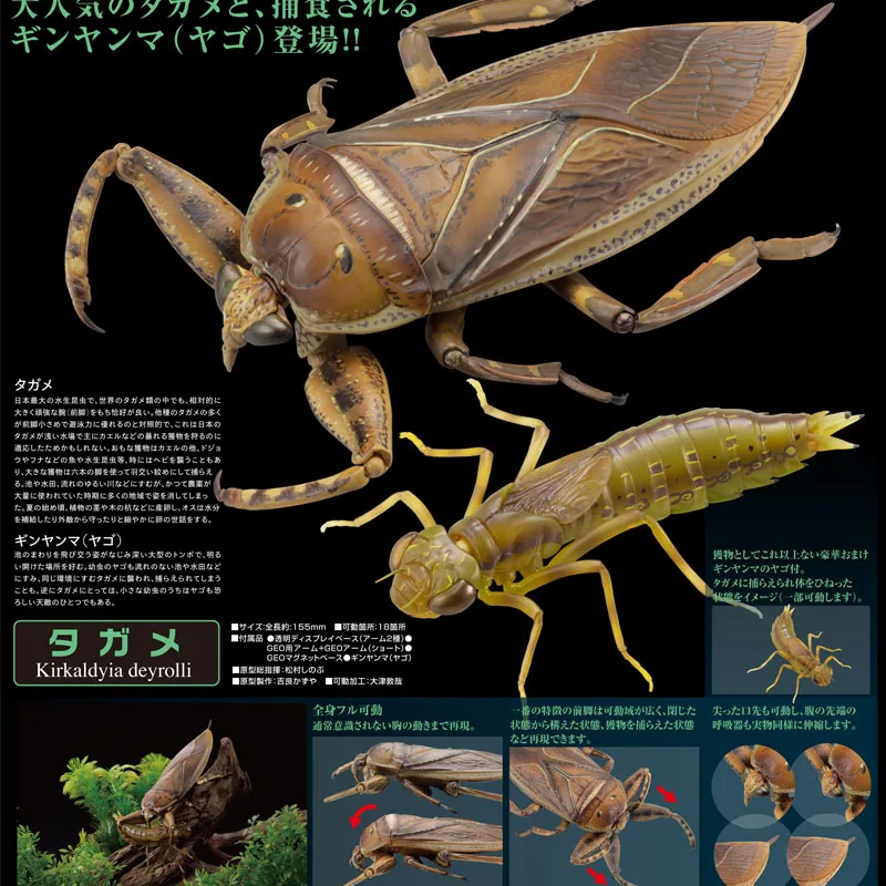 Action Figure Kaiyodoes Insect Figure Gashapon Toy Arthropod Joints Movable Trionychidae Model Collection
Action Figure Kaiyodoes Insect Figure Gashapon Toy Arthropod Joints Movable Trionychidae Model Collection