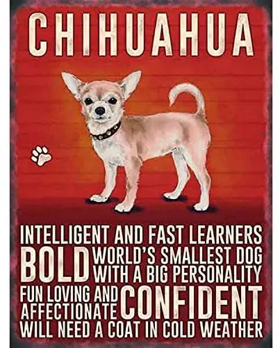 Bobdsa Mrute Chihuahua Dog Tin Wall Sign The Art Iron Painting Plaque Metal Wall Decoration Poster Decor Gifts
Bobdsa Mrute Chihuahua Dog Tin Wall Sign The Art Iron Painting Plaque Metal Wall Decoration Poster Decor Gifts