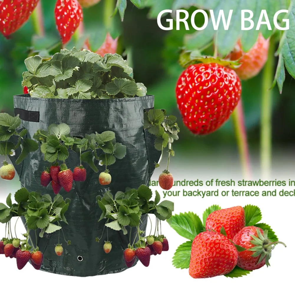 PE Strawberry Growing Bag Garden Hanging Planting Bag 20*35cm Vegetable Flower Planter Plant Care Accessories
PE Strawberry Growing Bag Garden Hanging Planting Bag 20*35cm Vegetable Flower Planter Plant Care Accessories