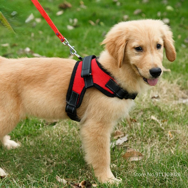 Pet Dog and Cat Adjustable Harness with Leash Reflective and Breathable Cozy for Small and Large Dog Harness Vest Pet Supplies
Pet Dog and Cat Adjustable Harness with Leash Reflective and Breathable Cozy for Small and Large Dog Harness Vest Pet Supplies