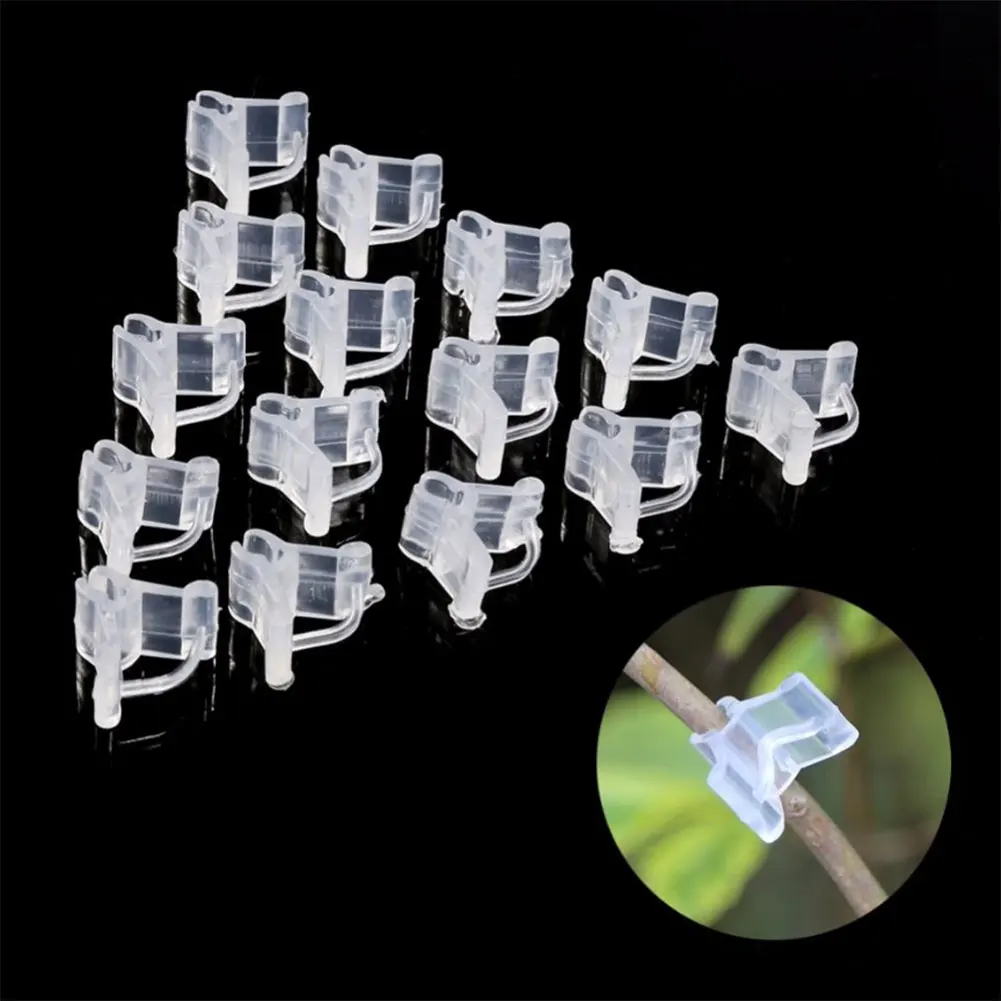 100Pcs Bonsai Grafting Clips Tomato Seedling Grafting Clips Eggplant Grafting Clamp Garden Tools Greenhouse Plastic Clip
100Pcs Bonsai Grafting Clips Tomato Seedling Grafting Clips Eggplant Grafting Clamp Garden Tools Greenhouse Plastic Clip