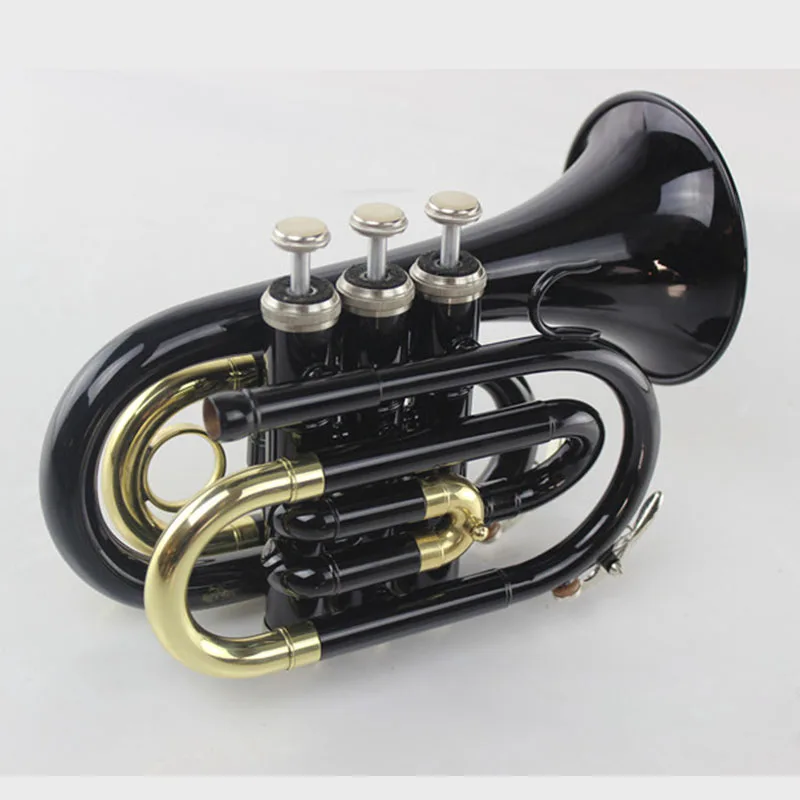 High quality Bb B-flat pocket trumpet, palm trumpet instrument with hard case, mouthpiece, cloth and gloves, black Lacquer with
High quality Bb B-flat pocket trumpet, palm trumpet instrument with hard case, mouthpiece, cloth and gloves, black Lacquer with