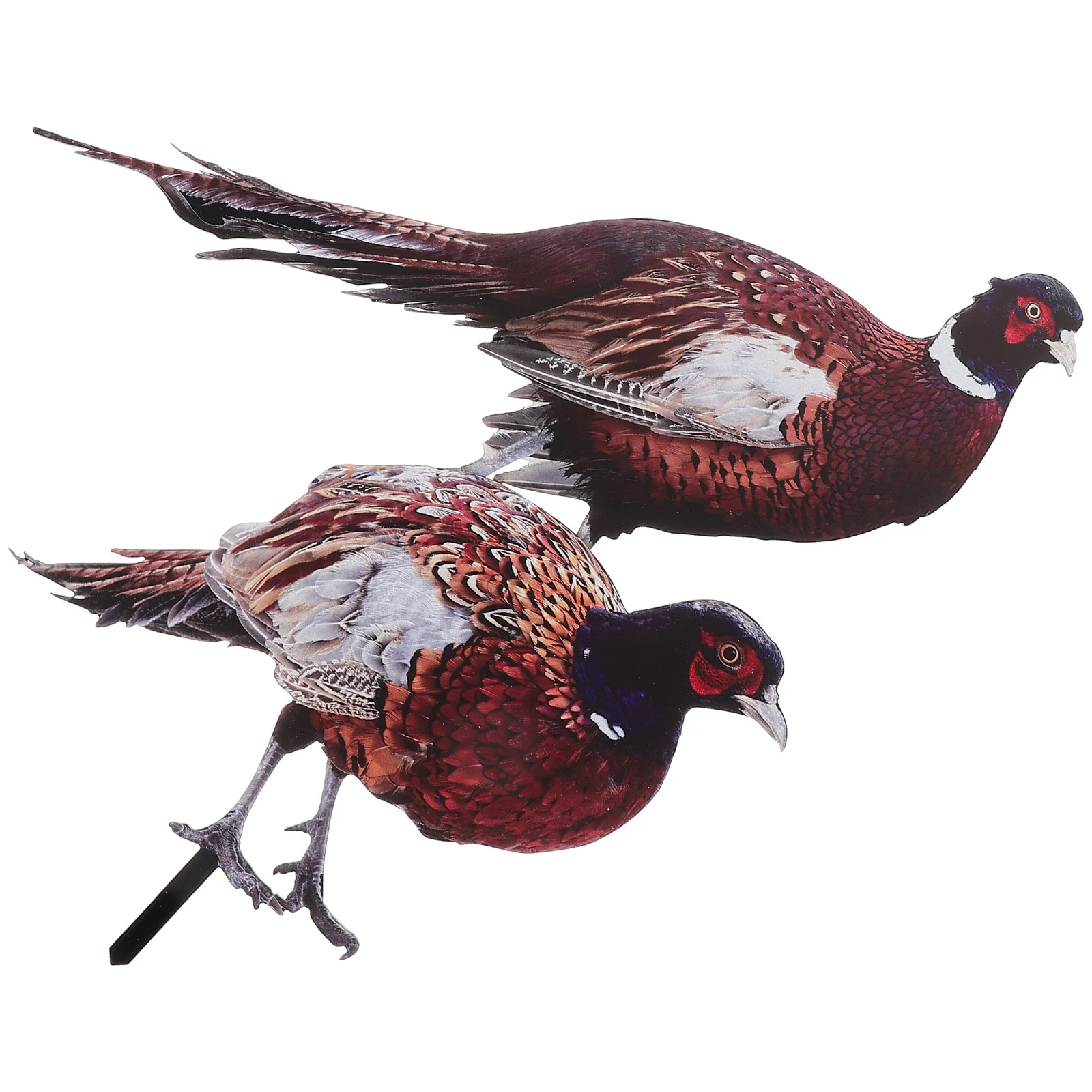 

2 Pcs Pheasant Garden Decoration Lawn Sign Ground Inserted Adornment Outdoor Acrylic Stake Ornament Accessories Yard