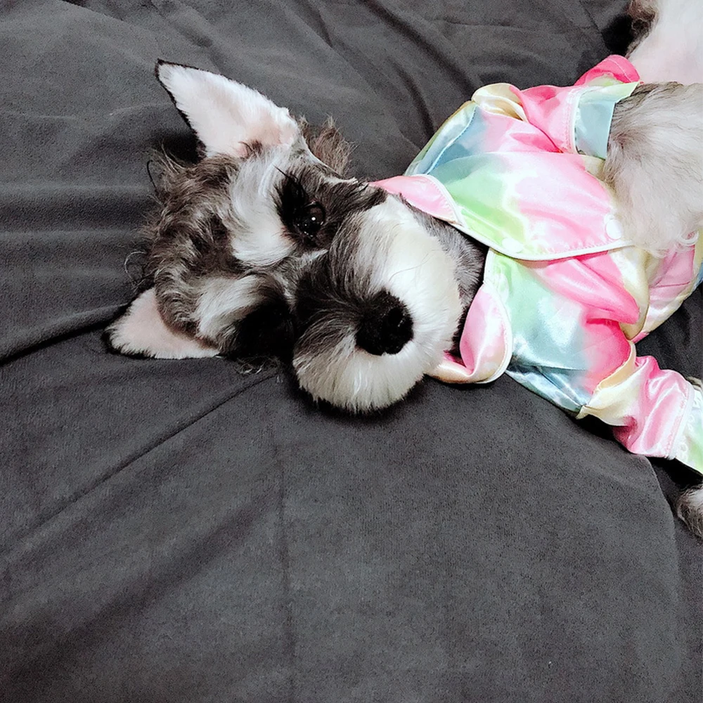 Autumn Pet Dog Clothes Fashion Rainbow Print Pajamas Pet Clothes Puppy Colored Shirts Small and Medium Dog Chihuahua Dog Costume
Autumn Pet Dog Clothes Fashion Rainbow Print Pajamas Pet Clothes Puppy Colored Shirts Small and Medium Dog Chihuahua Dog Costume