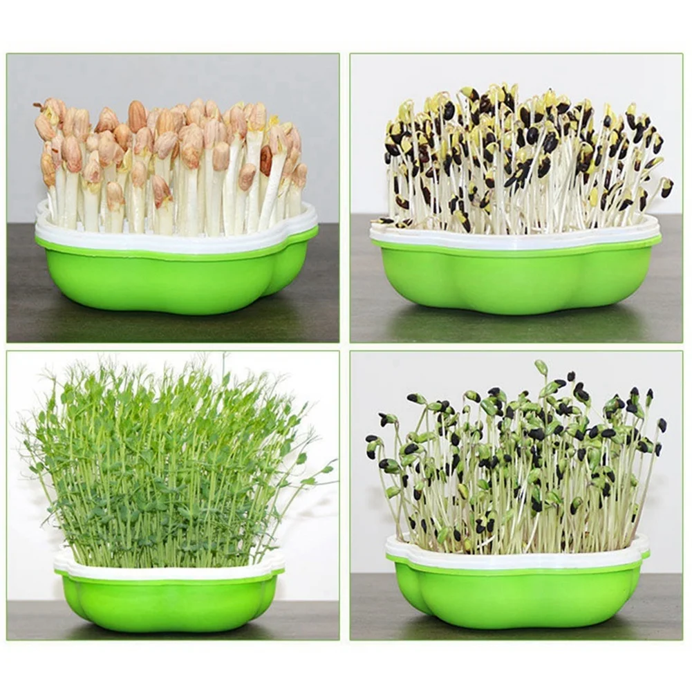 2PCS Sprouts Sprouts Box Bean Sprouts Plate Water Cultivation Seedling Plate Suitable for Garden, Home, Office
2PCS Sprouts Sprouts Box Bean Sprouts Plate Water Cultivation Seedling Plate Suitable for Garden, Home, Office