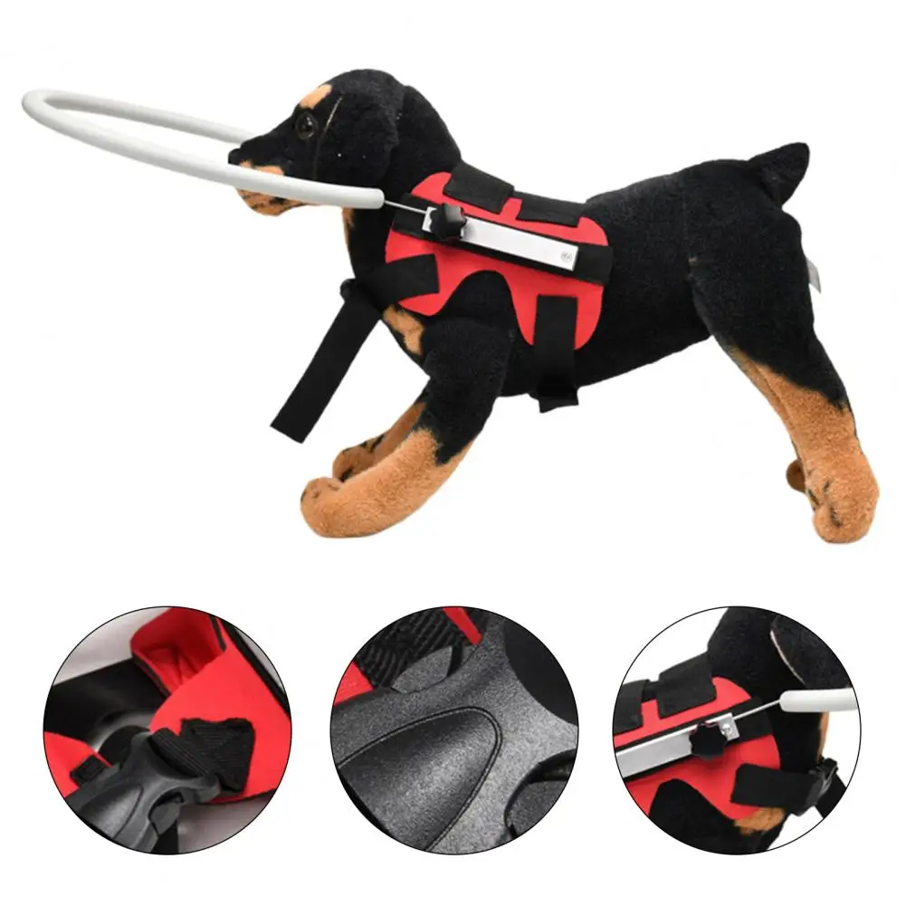 Great Practical Build Confidence Blind Dog Protective Ring Eco-friendly Lightweight Blind Dog Halos for Outdoor
Great Practical Build Confidence Blind Dog Protective Ring Eco-friendly Lightweight Blind Dog Halos for Outdoor