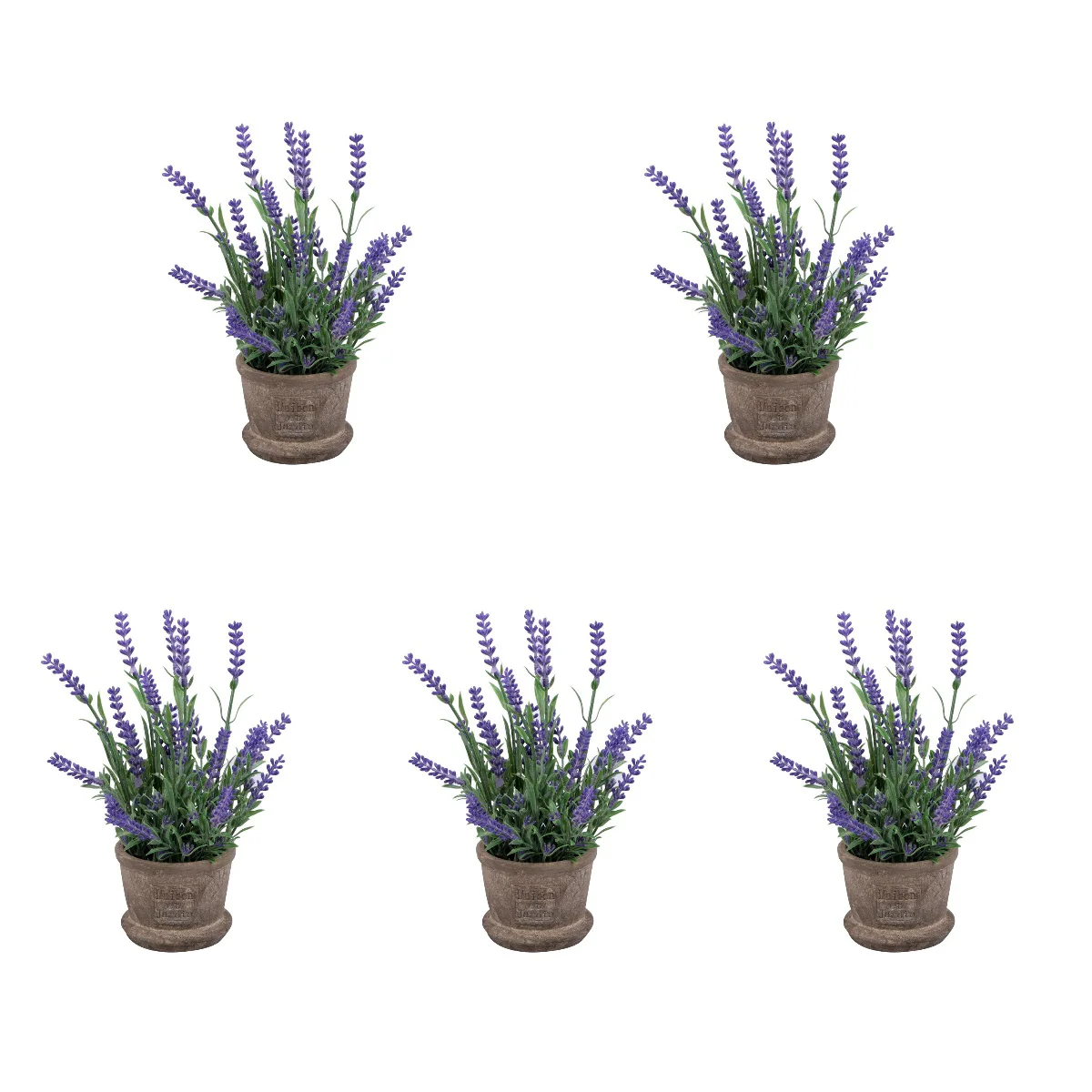 5x Lavender Vivid Creative Potted Home Ornaments Flower Potted for School Home Office Hotel
5x Lavender Vivid Creative Potted Home Ornaments Flower Potted for School Home Office Hotel