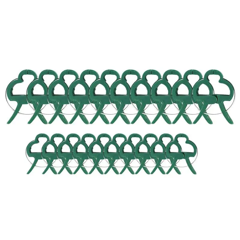 20Pcs Fastener Greenhouse Bracket Pole Fixed Clamp Plants Flower Seedling Stem Support Plant Grafting Stakes Connector Clip
20Pcs Fastener Greenhouse Bracket Pole Fixed Clamp Plants Flower Seedling Stem Support Plant Grafting Stakes Connector Clip