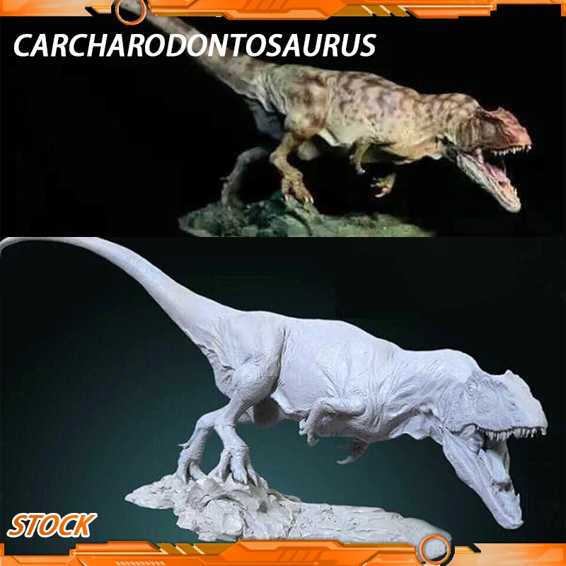 Mo 1/20 58cm Carcharodontosaurus Model Toy Ancient Prehistroy Animal Dinosaur Model Gk Customize Carcharodontosaurina
Mo 1/20 58cm Carcharodontosaurus Model Toy Ancient Prehistroy Animal Dinosaur Model Gk Customize Carcharodontosaurina