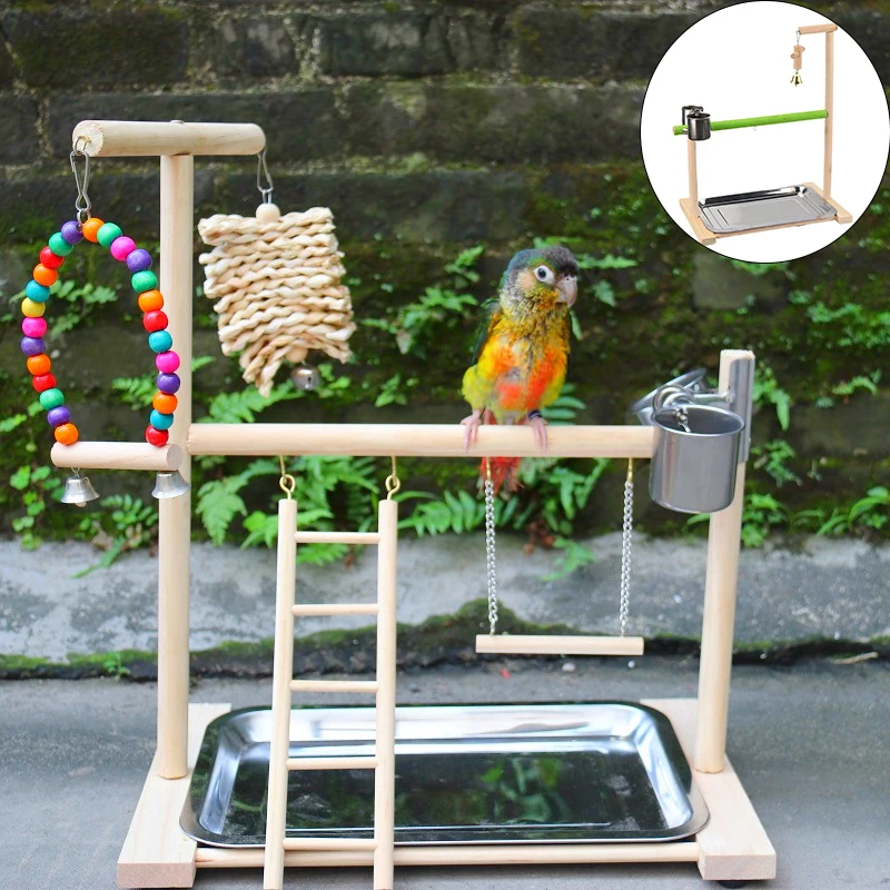 Feeding Cup Bird Parrot With Swing Supplies Stand Pet Bird Bird Parrot Playground Playstand Toy Bird Wooden Perch
Feeding Cup Bird Parrot With Swing Supplies Stand Pet Bird Bird Parrot Playground Playstand Toy Bird Wooden Perch