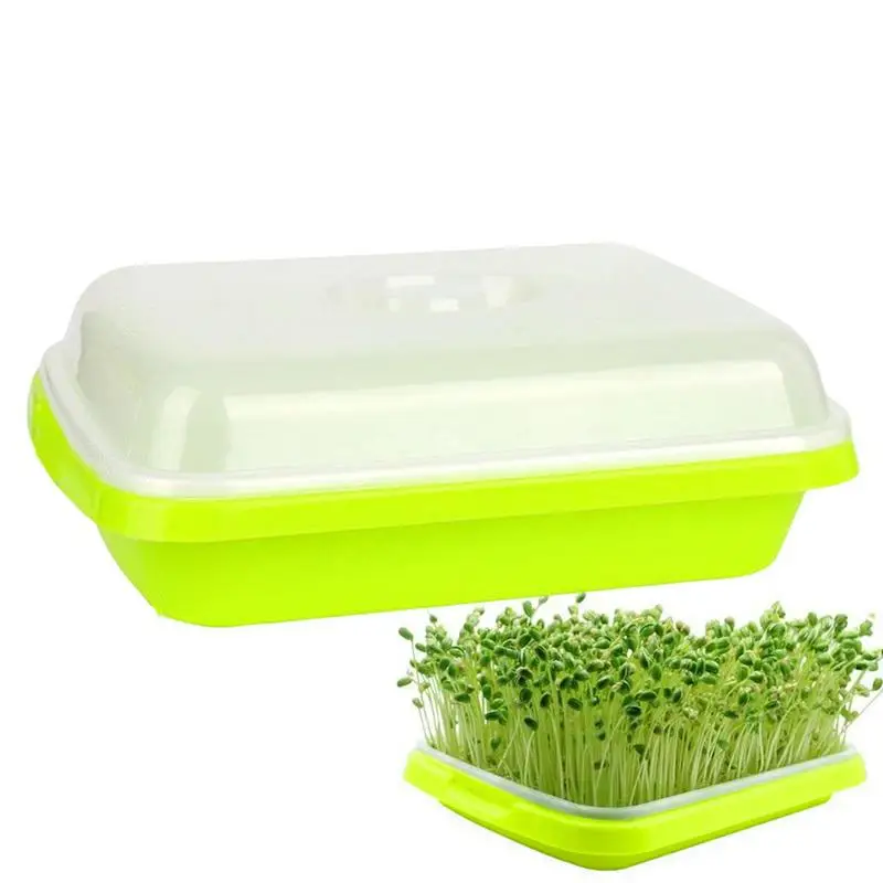 Растительные лотки microgreen без почвы, искусственная трава, кошачья трава, растительные лотки для сада
Растительные лотки microgreen без почвы, искусственная трава, кошачья трава, растительные лотки для сада