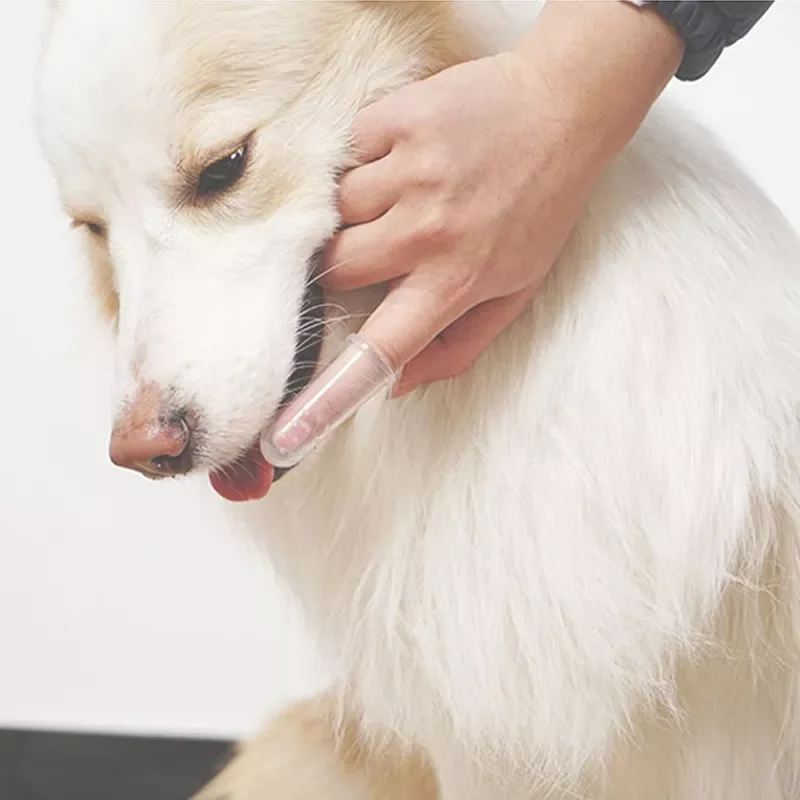 2023New Shipping Dog Toothbrush Super Soft Pet Finger Toothbrush Teddy Baby Toothbrush Tartar Teeth Pet Supplies Pet Toothbrushe
2023New Shipping Dog Toothbrush Super Soft Pet Finger Toothbrush Teddy Baby Toothbrush Tartar Teeth Pet Supplies Pet Toothbrushe