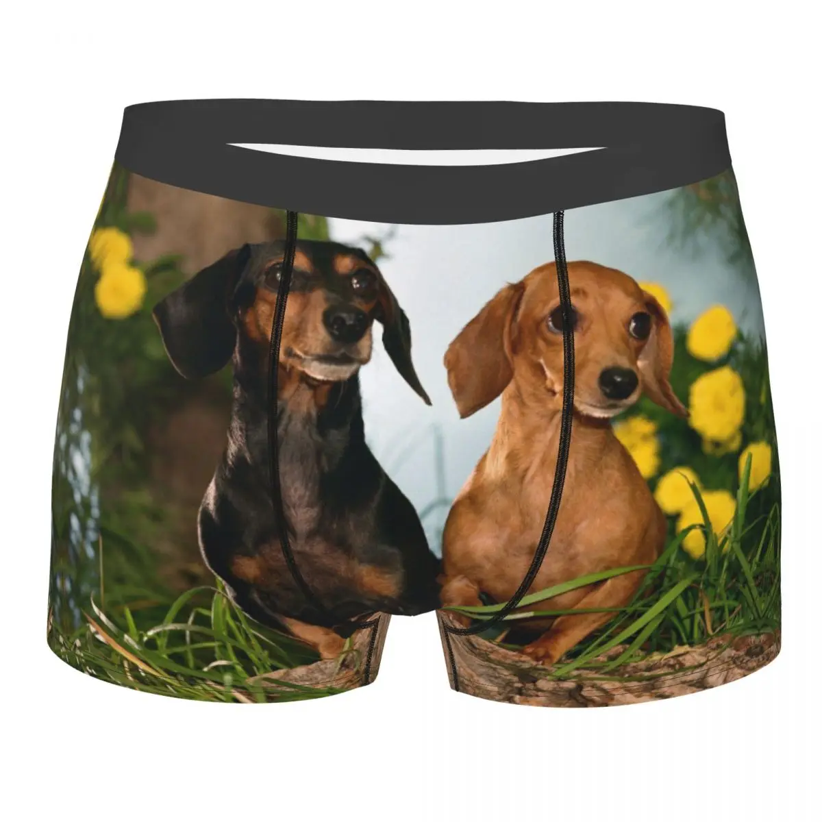Boxer Men Underpants Dachshund Men's Panties Shorts Breathable Mens Underwear Briefs Sexy Boxers 
Boxer Men Underpants Dachshund Men's Panties Shorts Breathable Mens Underwear Briefs Sexy Boxers