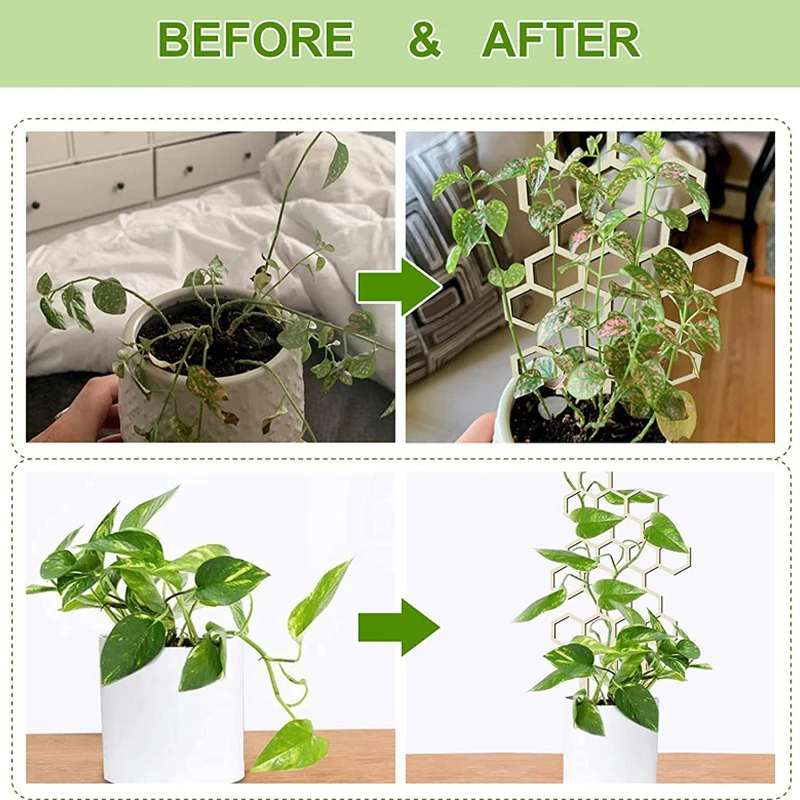 Trellis for Potted Plants Plant Trellis Indoor Wooden Honeycomb Shape Flower Stem Vines Climbing Training Supp Support Brackets
Trellis for Potted Plants Plant Trellis Indoor Wooden Honeycomb Shape Flower Stem Vines Climbing Training Supp Support Brackets