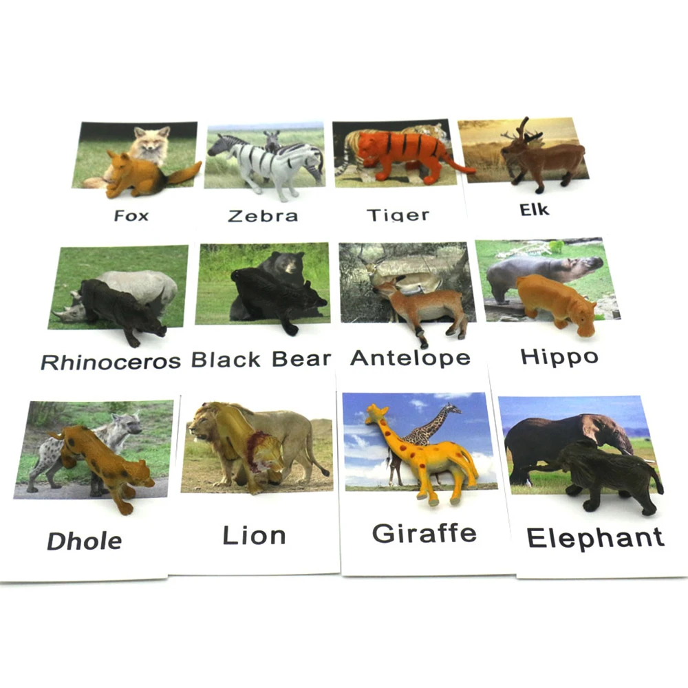 Montessori Memory Game Montessori Animal Flash Cards Matching Materials Learning Language Educational Toys For 3 Years L2964K
Montessori Memory Game Montessori Animal Flash Cards Matching Materials Learning Language Educational Toys For 3 Years L2964K