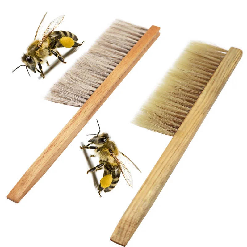 Beekeeping Tools Wood Honey Brush Wasp bee Sweep Two Rows Of Horse Tail Hair New Bee Brush Beekeeping Equipment
Beekeeping Tools Wood Honey Brush Wasp bee Sweep Two Rows Of Horse Tail Hair New Bee Brush Beekeeping Equipment