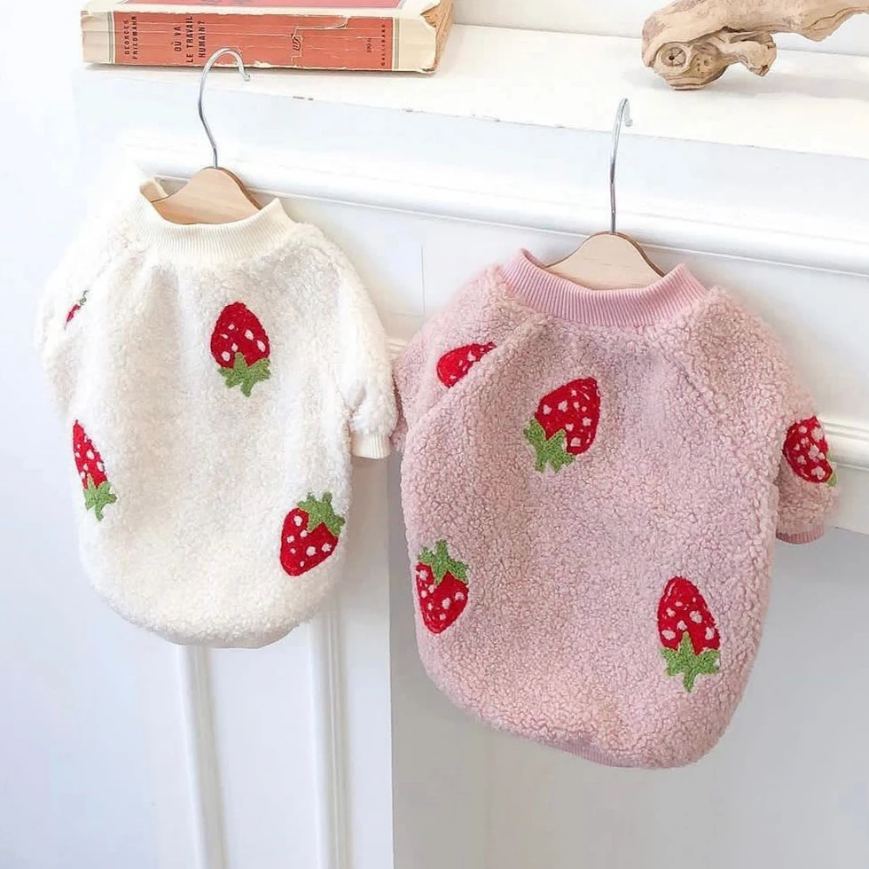 Pet Clothes Autumn Winter Medium Small Dog Sweet Sweater Warm Wool Dachshund Kitten Puppy Cute Pullover Chihuahua Yorkshire Pug
Pet Clothes Autumn Winter Medium Small Dog Sweet Sweater Warm Wool Dachshund Kitten Puppy Cute Pullover Chihuahua Yorkshire Pug