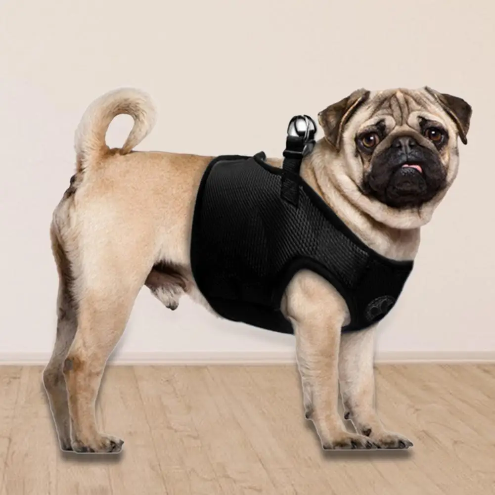 Pet Dog Vest Harness Fastener Tape Hemming Strong Bearing Dog Medium Large Lead Leashes for Going Out
Pet Dog Vest Harness Fastener Tape Hemming Strong Bearing Dog Medium Large Lead Leashes for Going Out