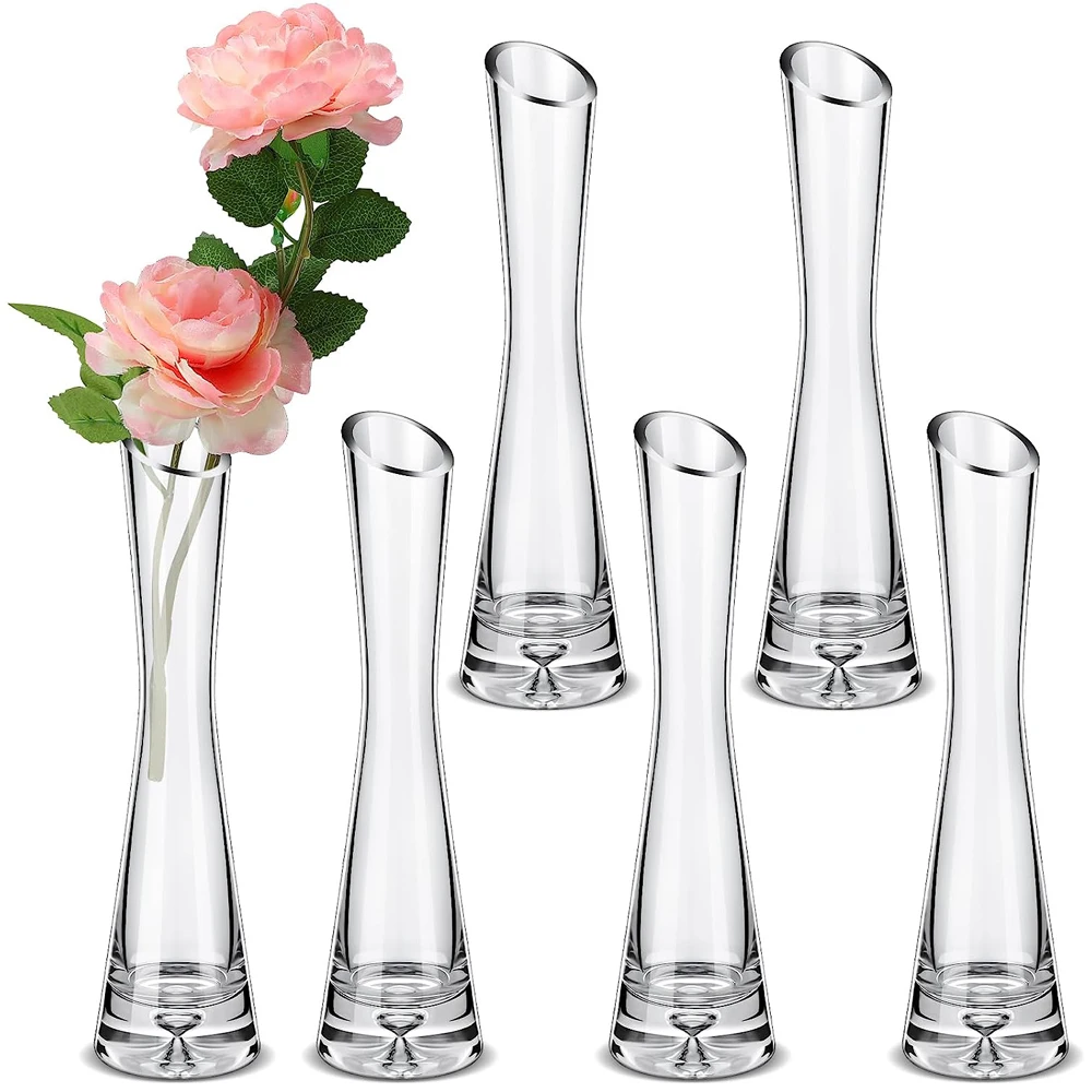 6 Pcs Tall Glass Vase for Centerpieces Maria Bud Vase Single Rose Vase Bud Vase for Flower Glass Flower Vases for Centerpieces
6 Pcs Tall Glass Vase for Centerpieces Maria Bud Vase Single Rose Vase Bud Vase for Flower Glass Flower Vases for Centerpieces